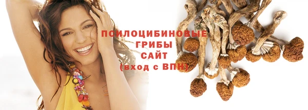 гидропоника Баксан