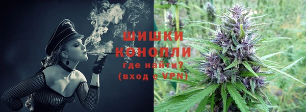 трава Балахна
