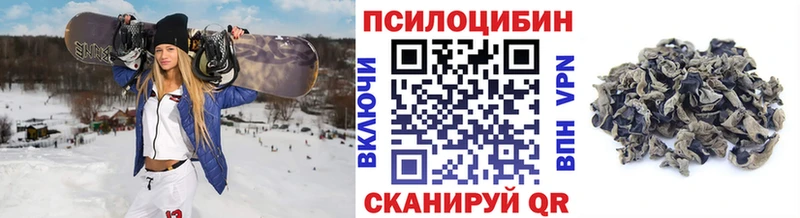 Псилоцибиновые грибы Cubensis  Кондрово 